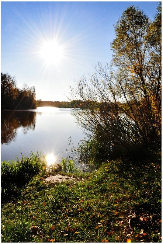 В ожидании рассвета... - Надежда 