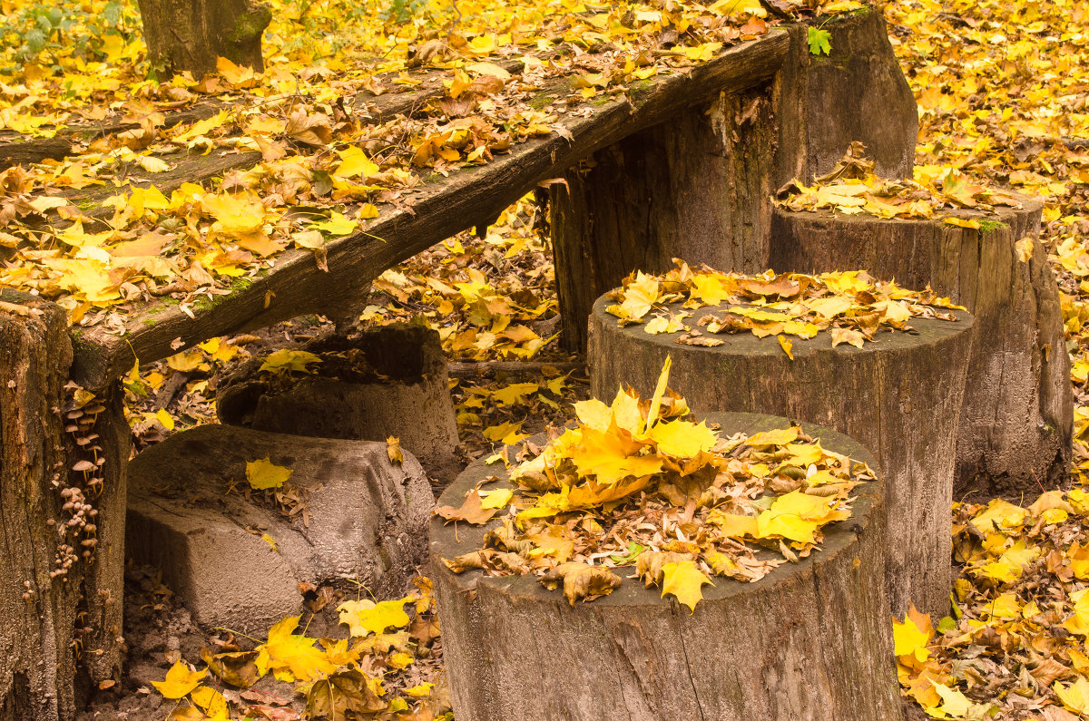 уютное местечко - наташа уютное местечко - наташа