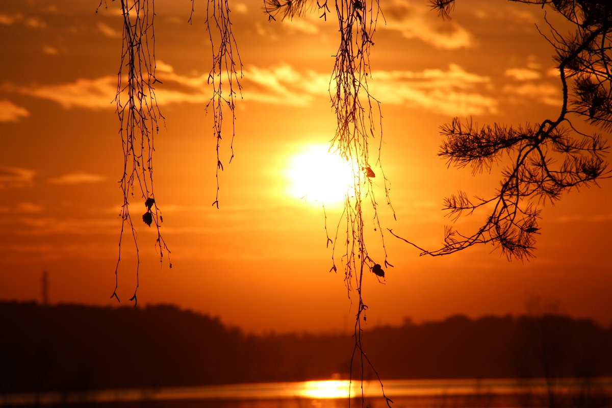 закат - Юлия Рыжова