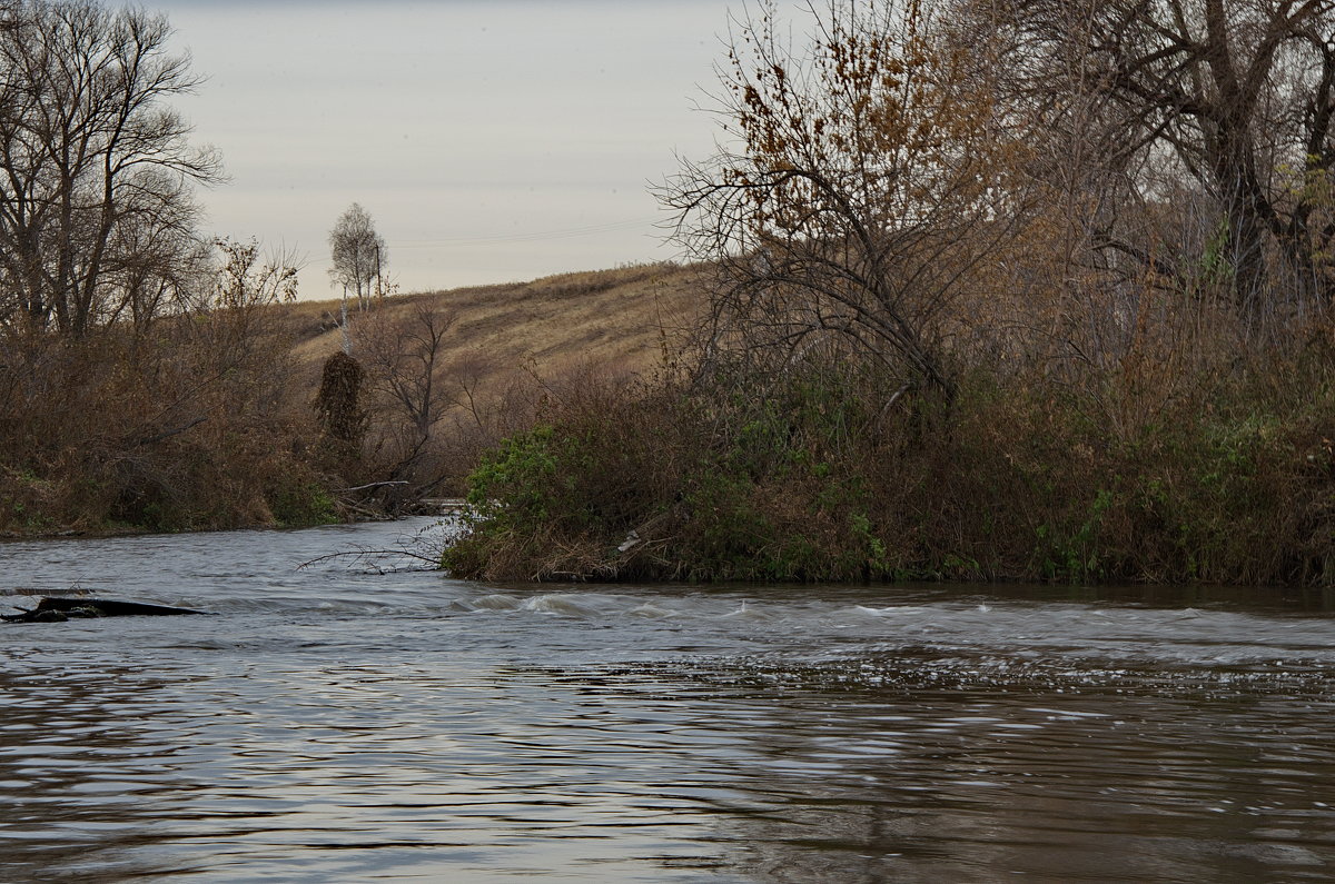 ... - Игорь Турукин