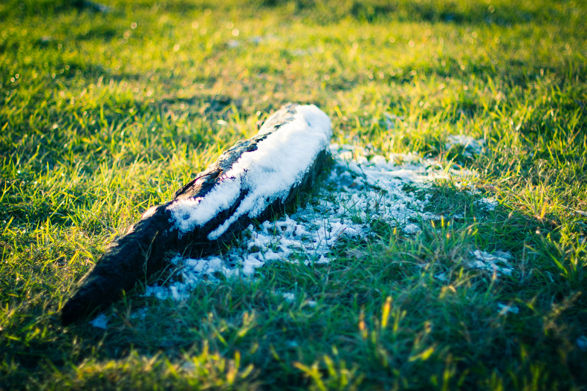 Осень зима 2013 - Алексей Захаренков