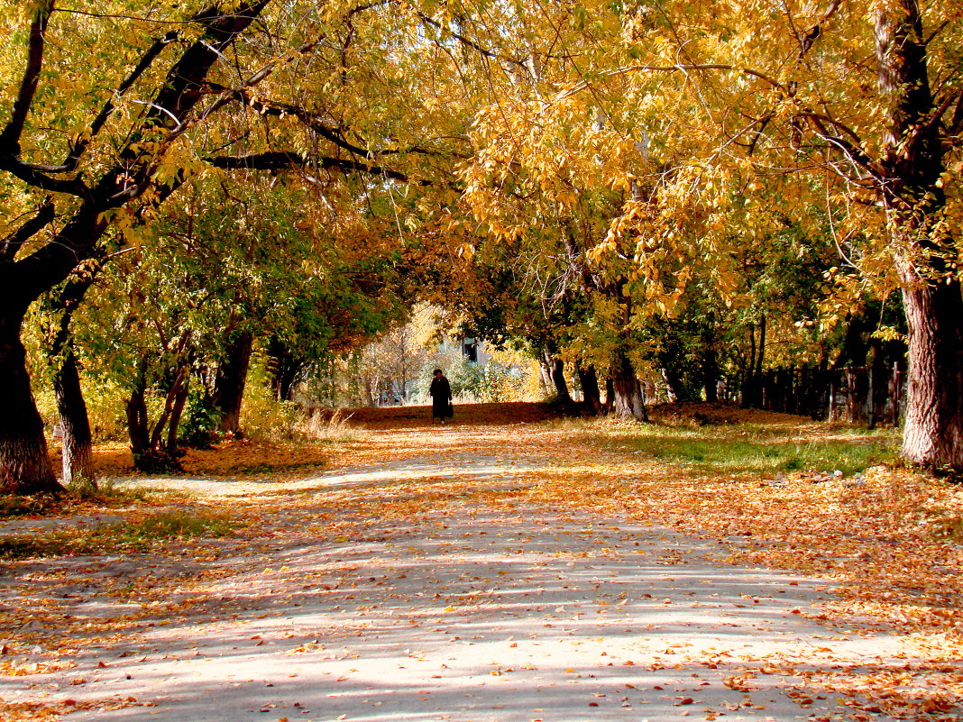 ... - Юрий Окунев