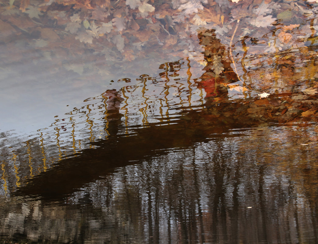 ... - Елена Соколова