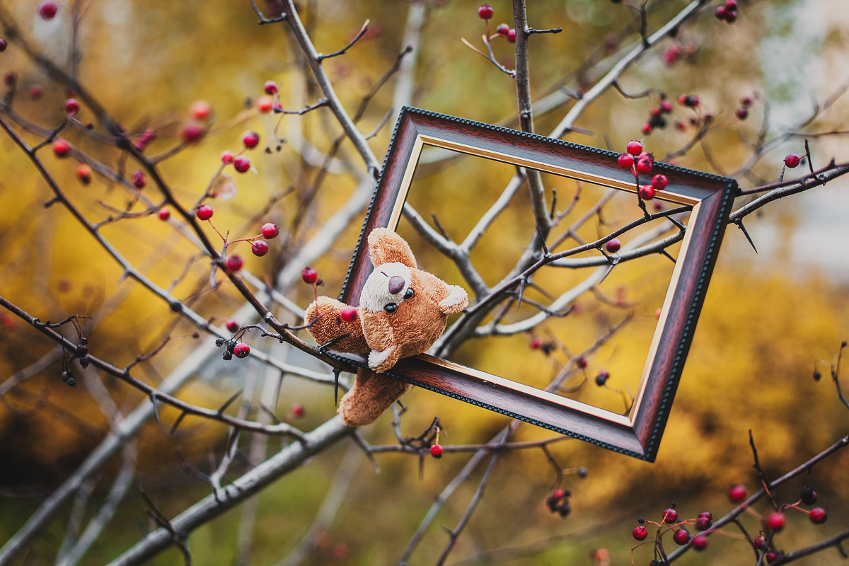 autumn - Марина Ярынчак