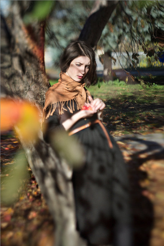 Autunm Thoughts - Alice Aster