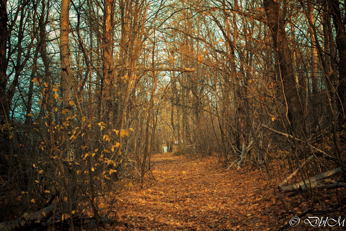 Осень золотая - Андрей DblM Павлов