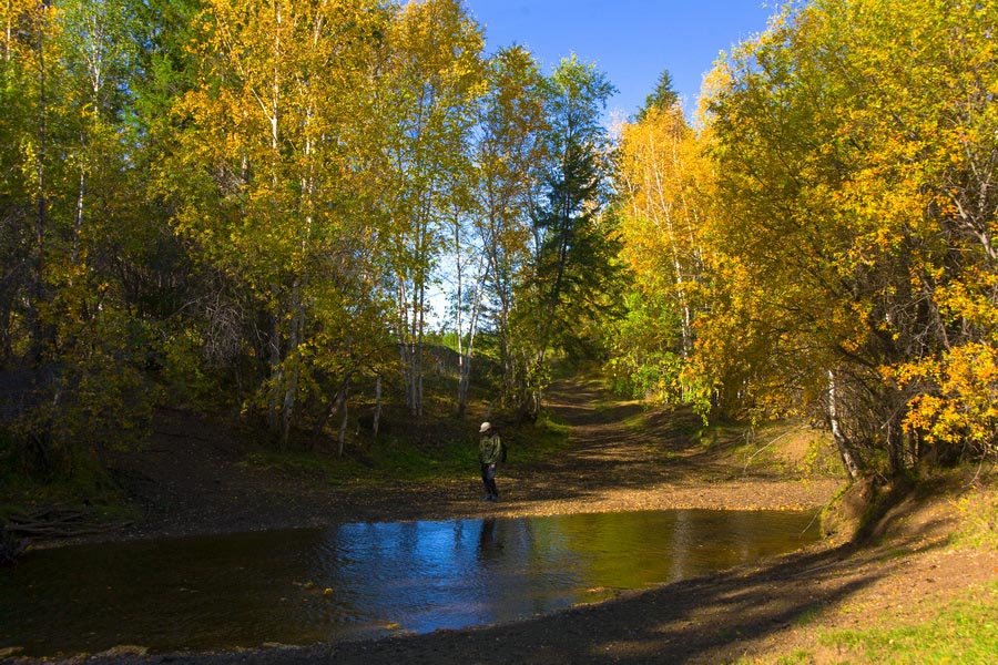 на речке - Альберт 