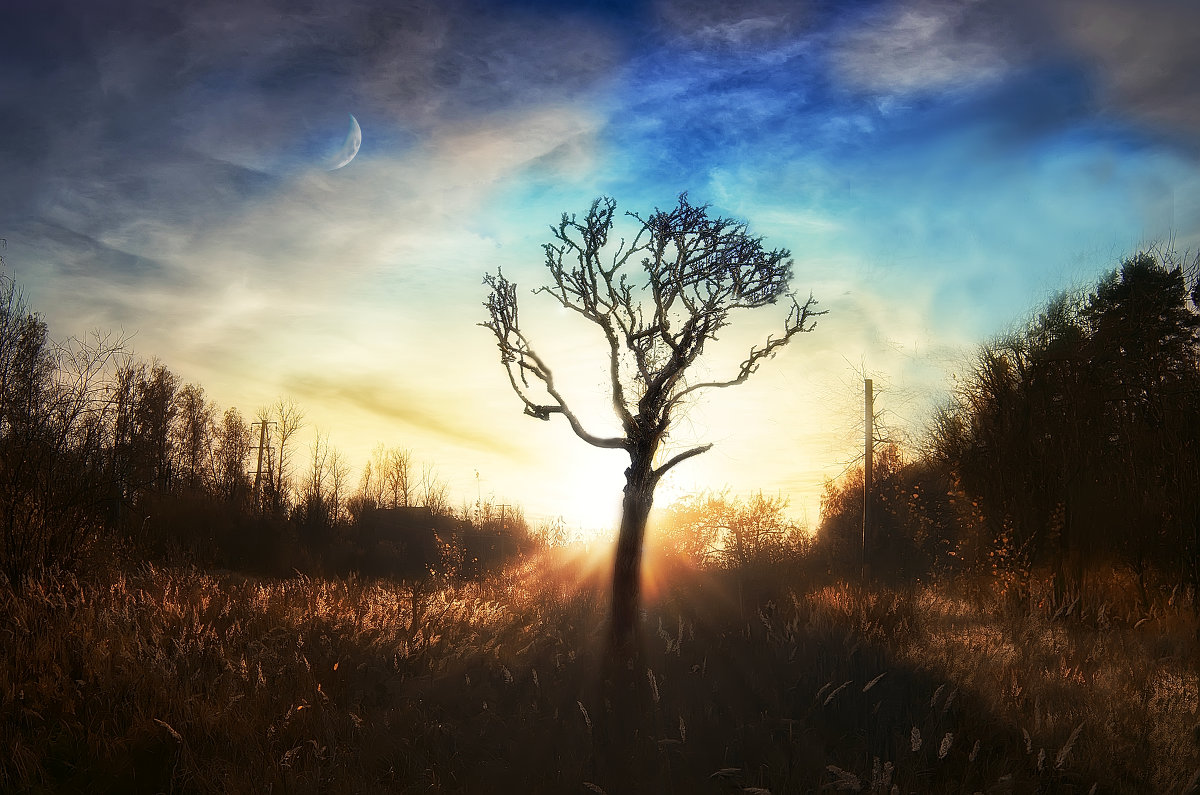 Оранжевый воздух - Антон Симонов