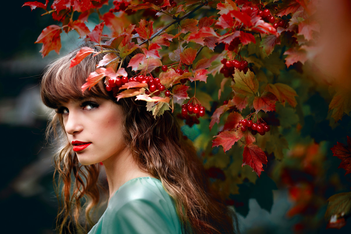 Из серии "Три цвета осени". Красный - Чёрный Кот