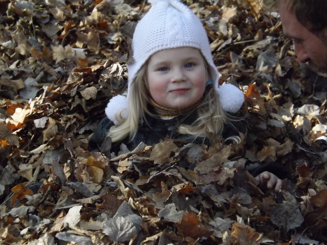 ... - Роман Б.