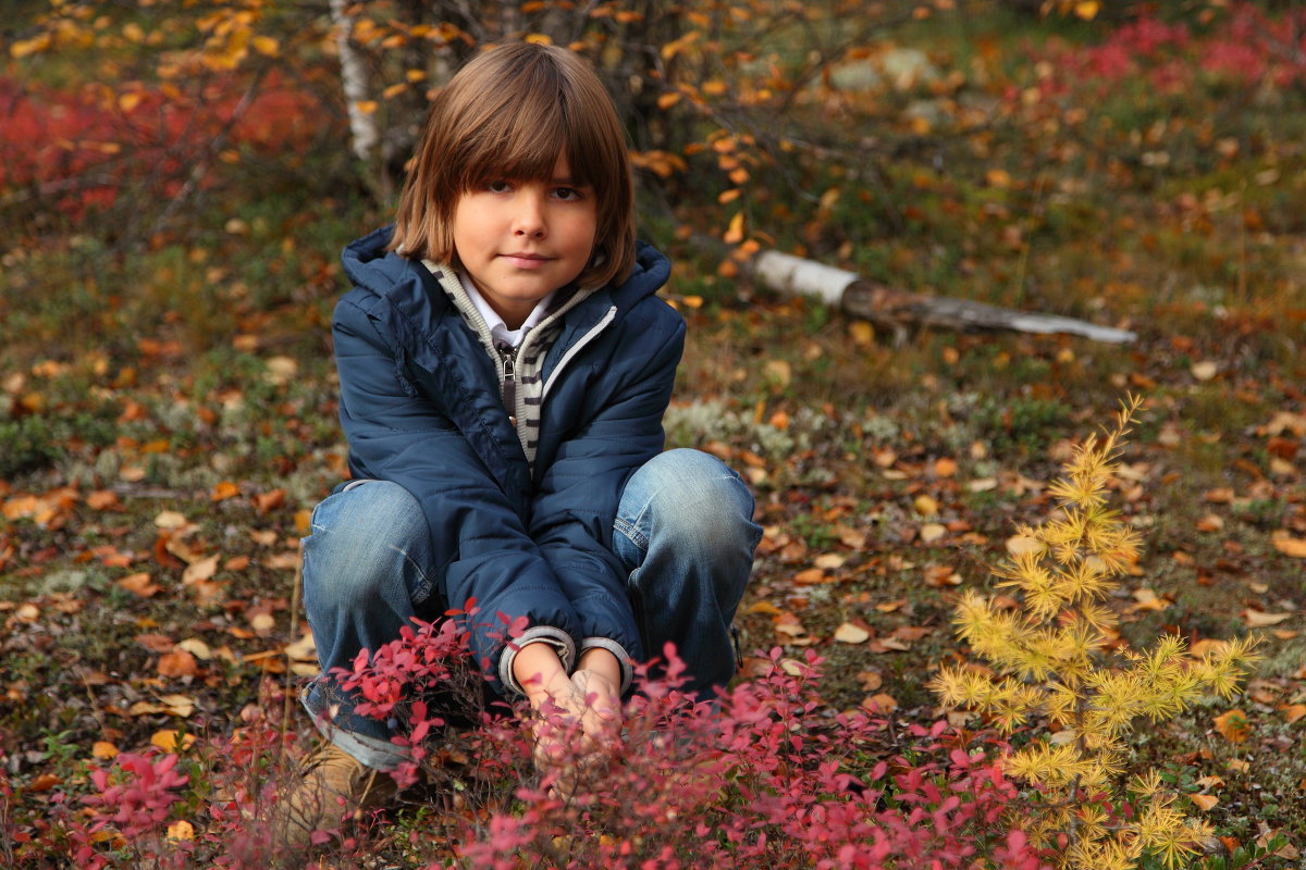 Моя 9-я осень - udarniksoctruda 