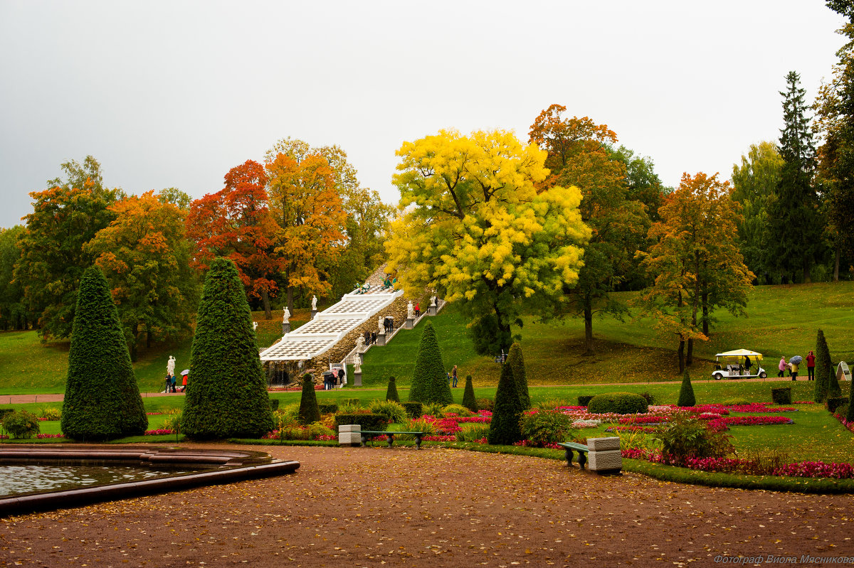 Красками природы нарисован этот мир - Виола Мясникова