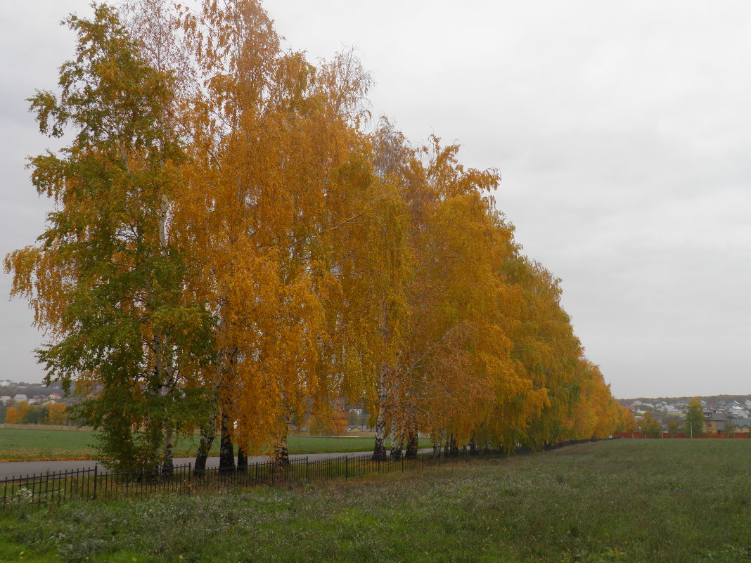Осенние краски - Виталий 