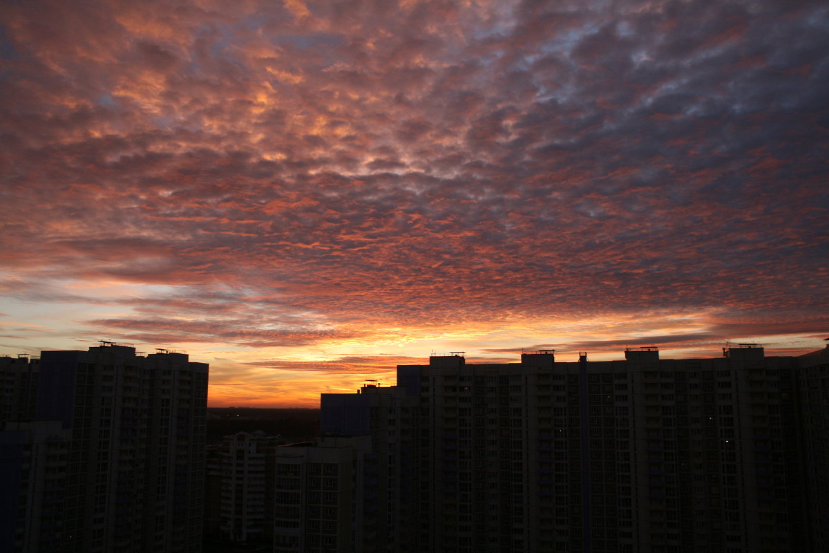 Осенний закат - Алена Дорохина