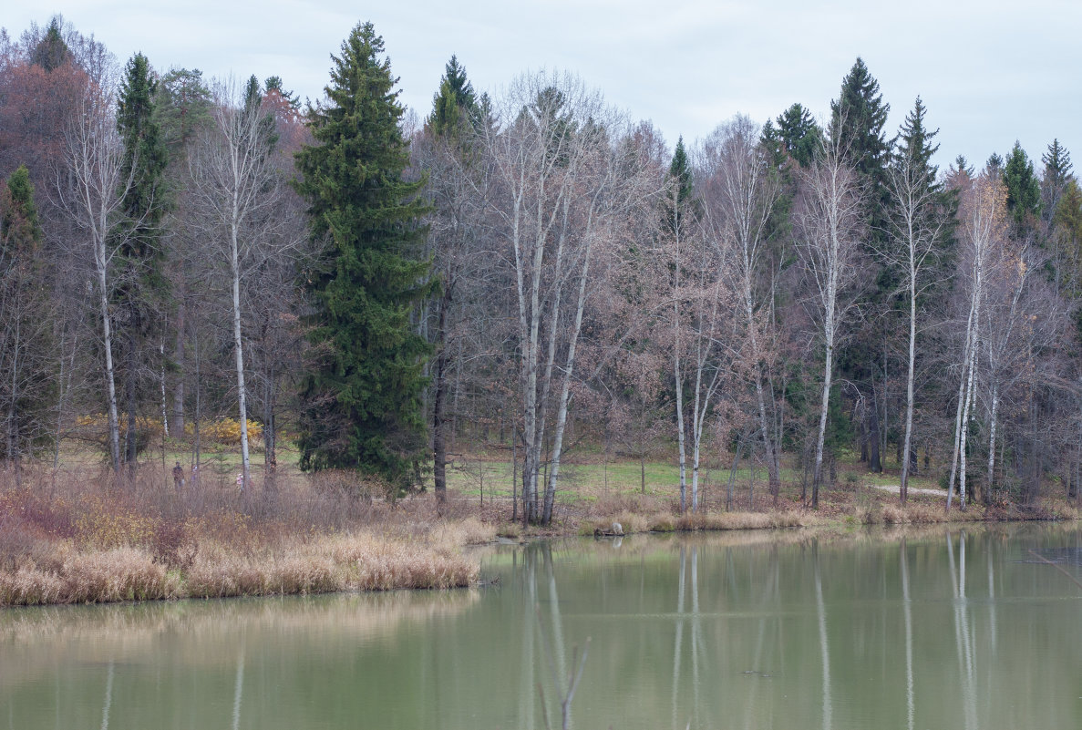 Абрамцево. Осень. Релакс. - Ирина Будагова