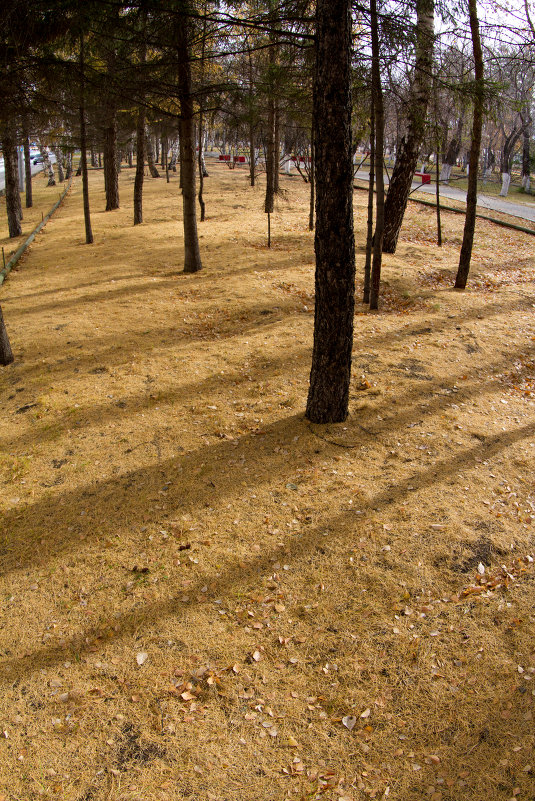 ... - Алексей Галушко