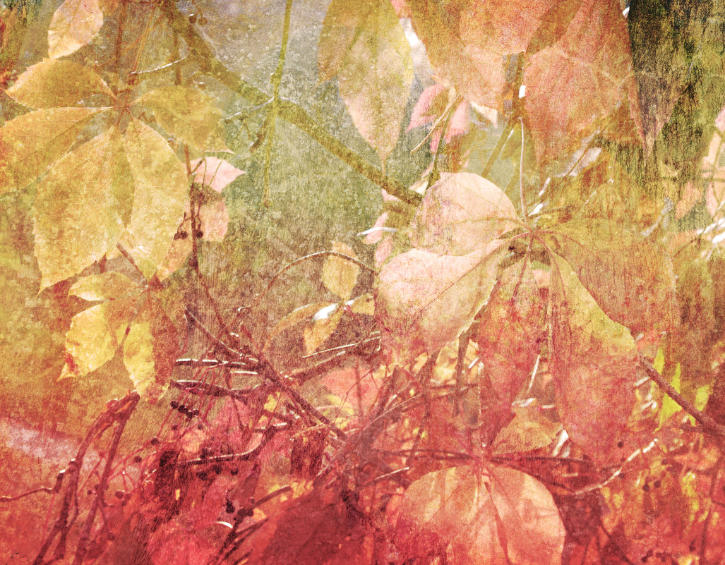 осенние краски - Надежда Кудряшова