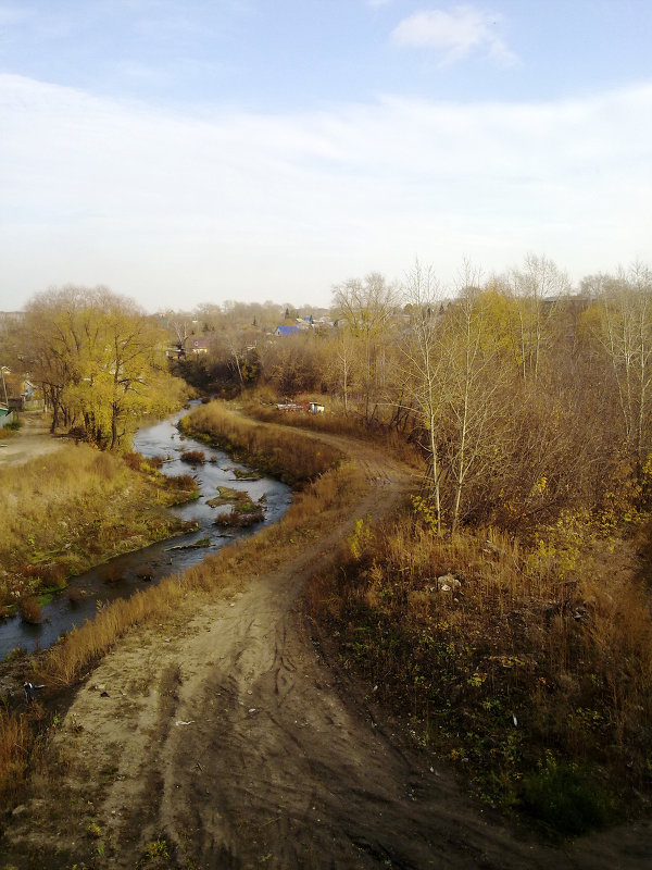 По дороге домой - Евгения Латунская