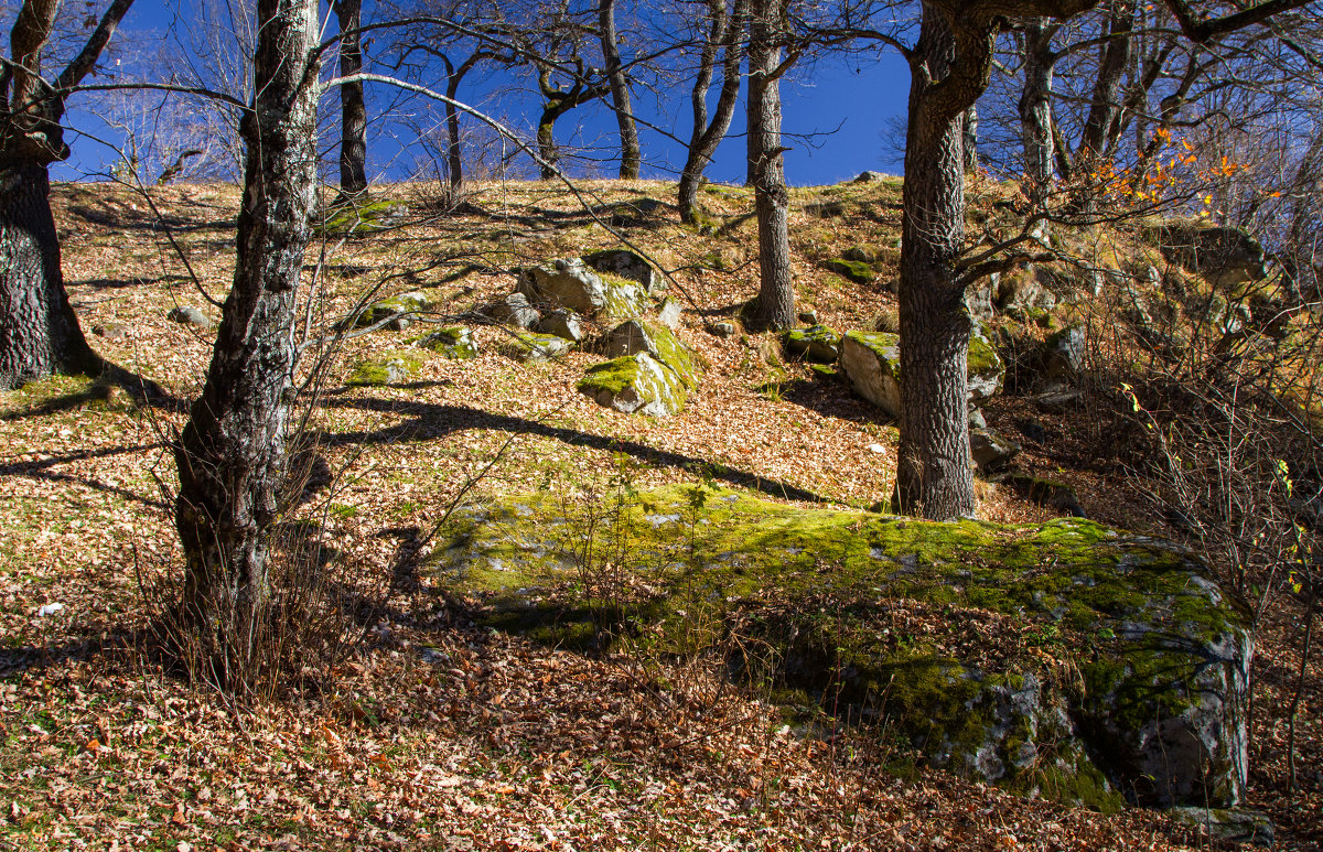 Бабье Лето! - Vadim77755 Коркин