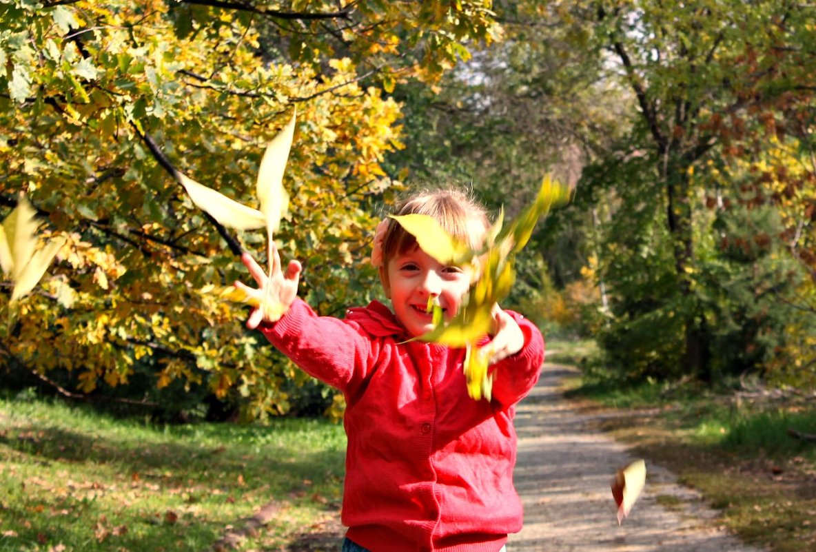 Лови осень! - Анна Соколова
