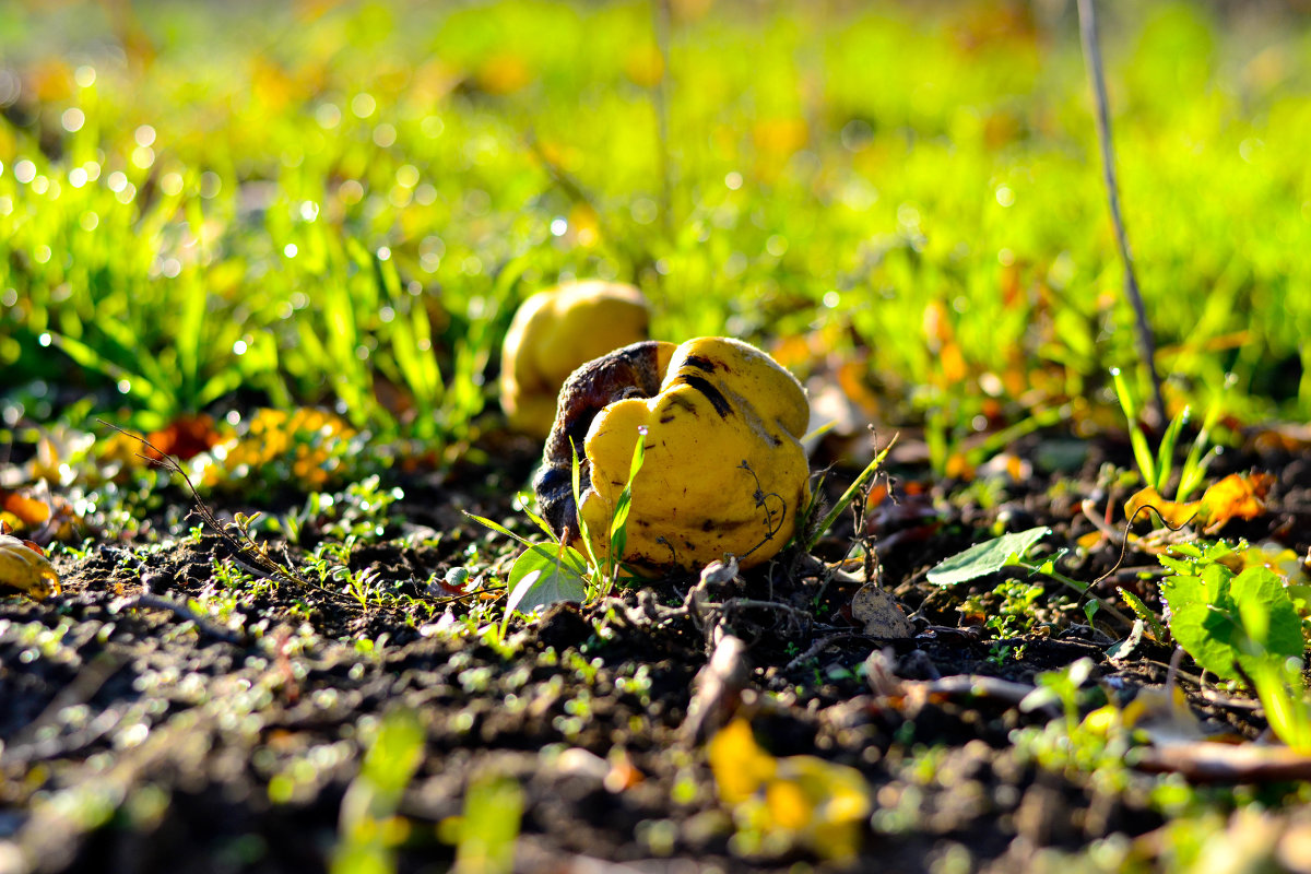 ... - Денис ... - Денис