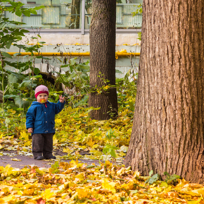 Росток - Любовь Черниговская