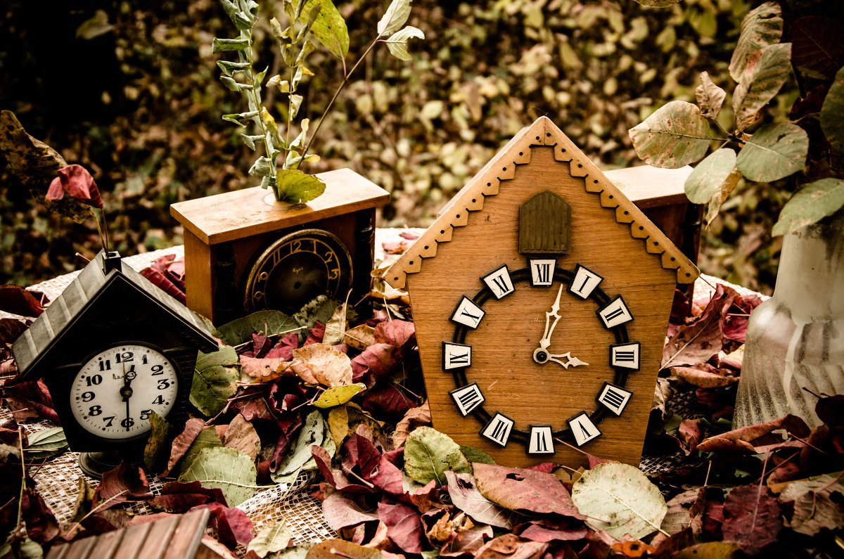 "Осенняя бесконечность" - Анастасия Бирюкова(Янкова)