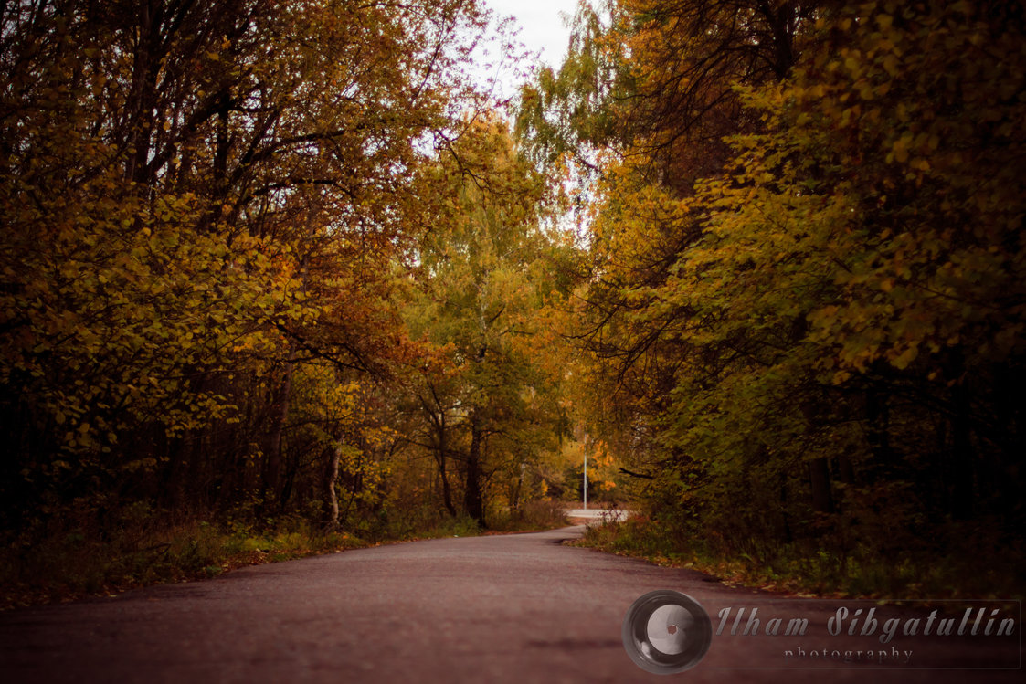 ... - Ильхам Сибгатуллин