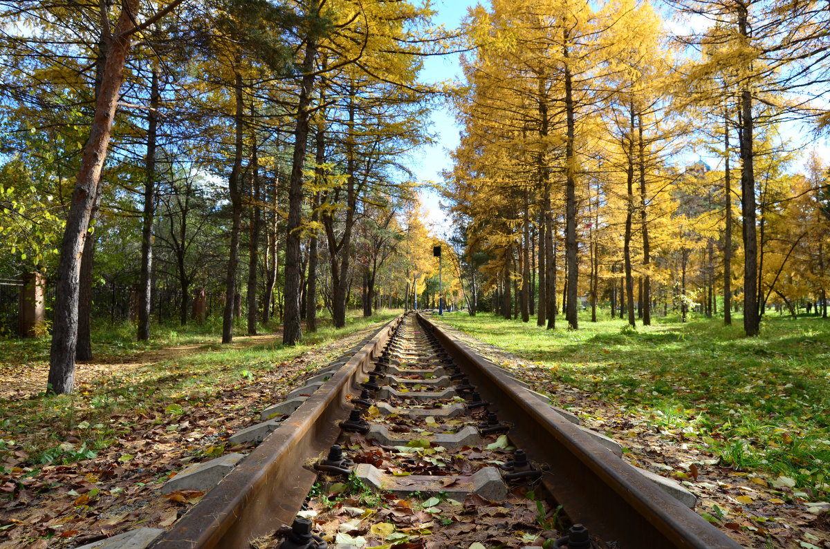 Дорога в Осень... - Аня Анечка