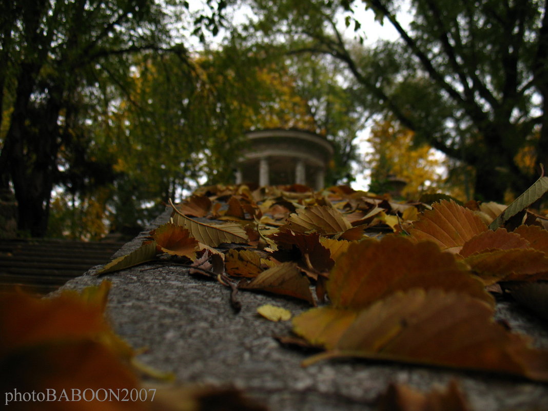 Кишинёвская осень... - Дмитрий Тилинин