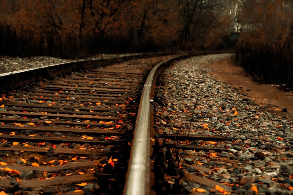 опять поворот, опять что-то новое - Александр Воронов