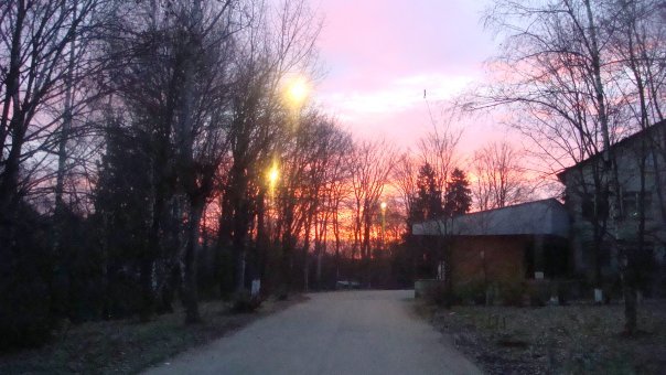 старая, красивая осень.. - Василиса Докторова