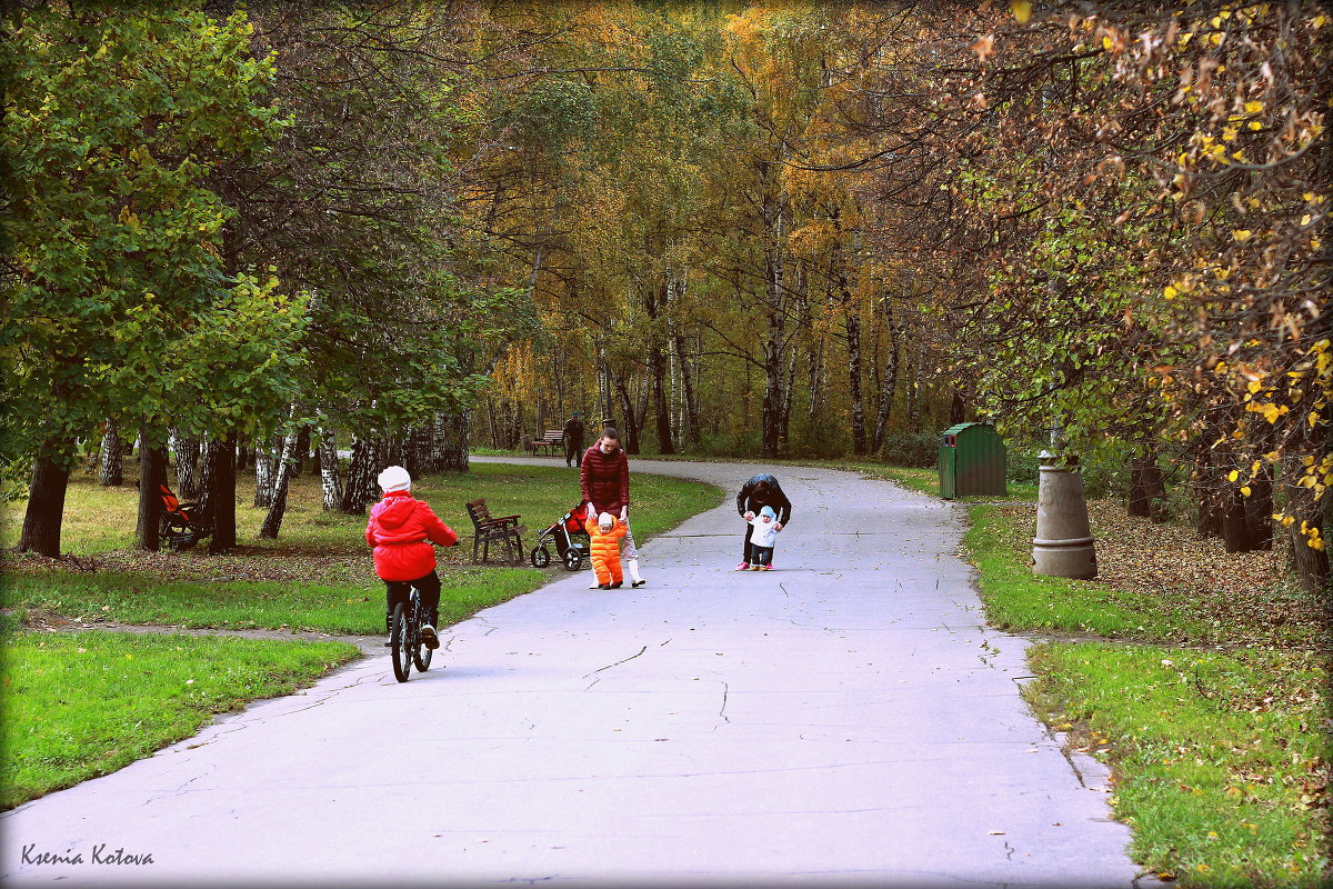 осенняя жизнь парка - Ксения Котова