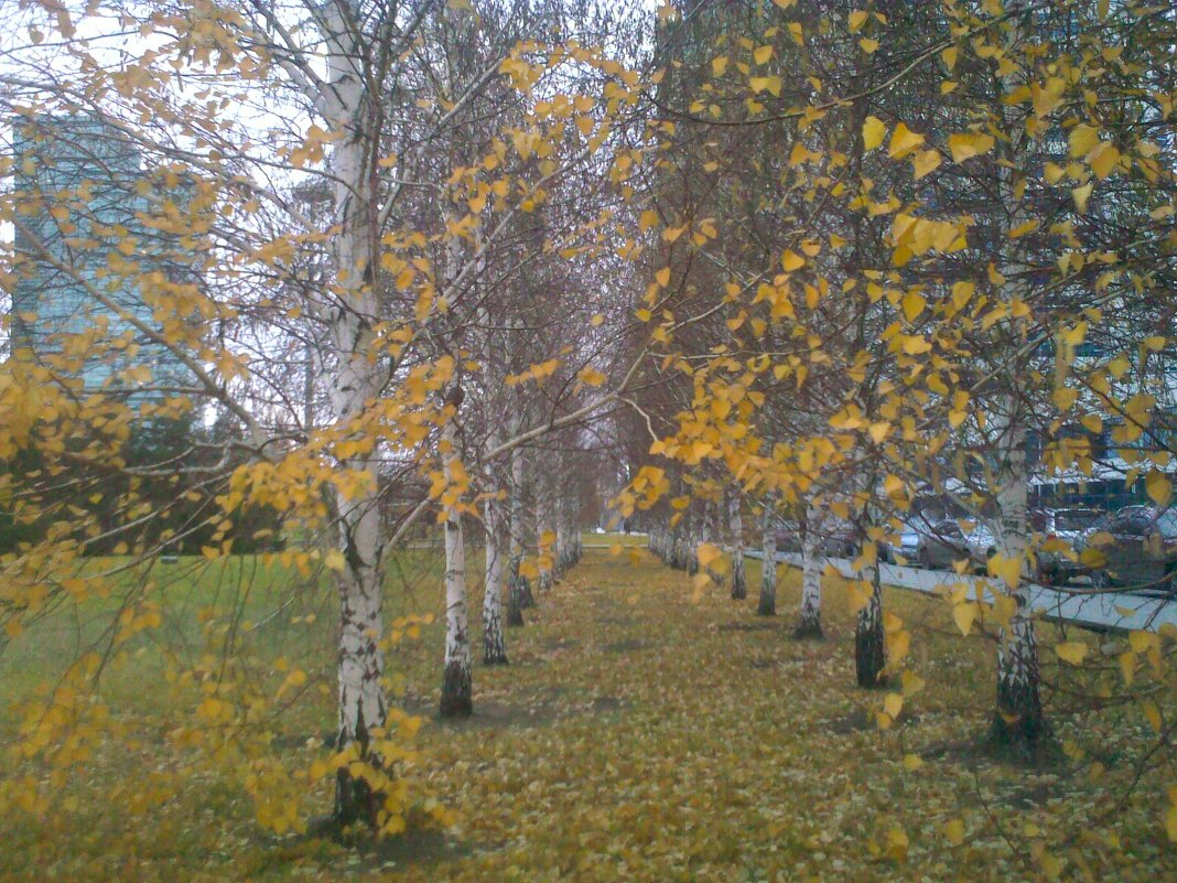 ... - Карина Балаева