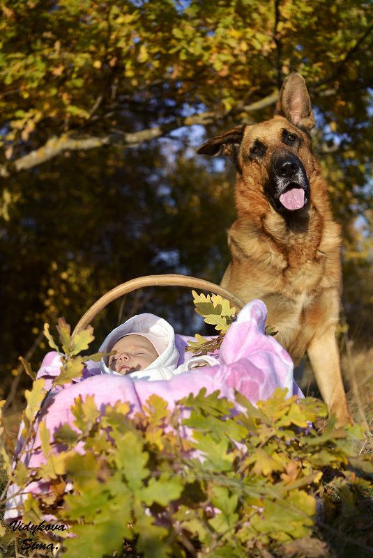осенний мир! - sima осенний мир! - sima