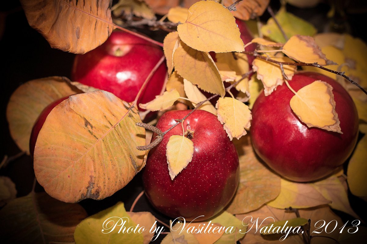 ... - Наталья Васильева