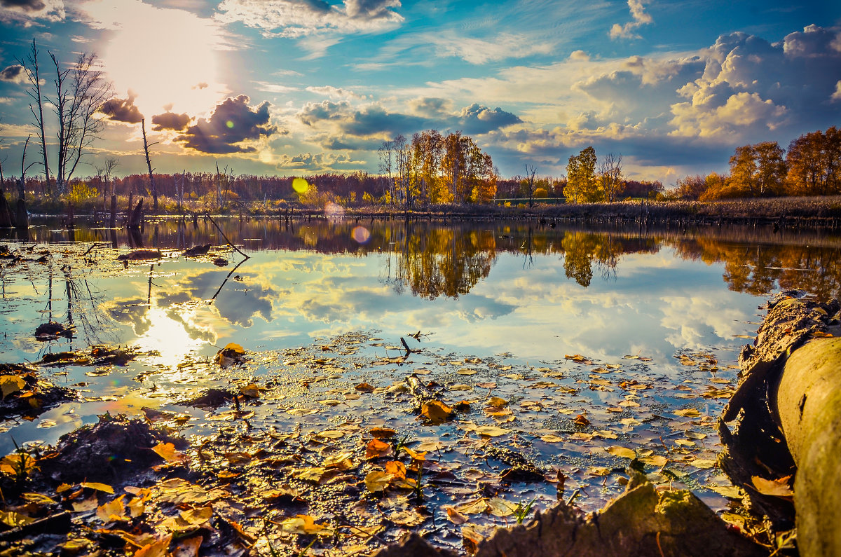 Заброшенная тишь - Евгений Тихонов