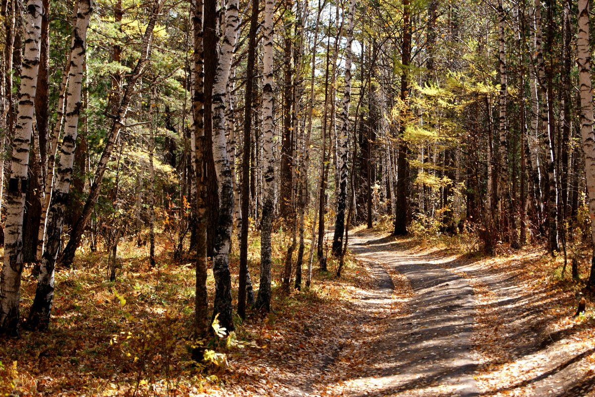 Осенняя дорога - Григорий Антонов