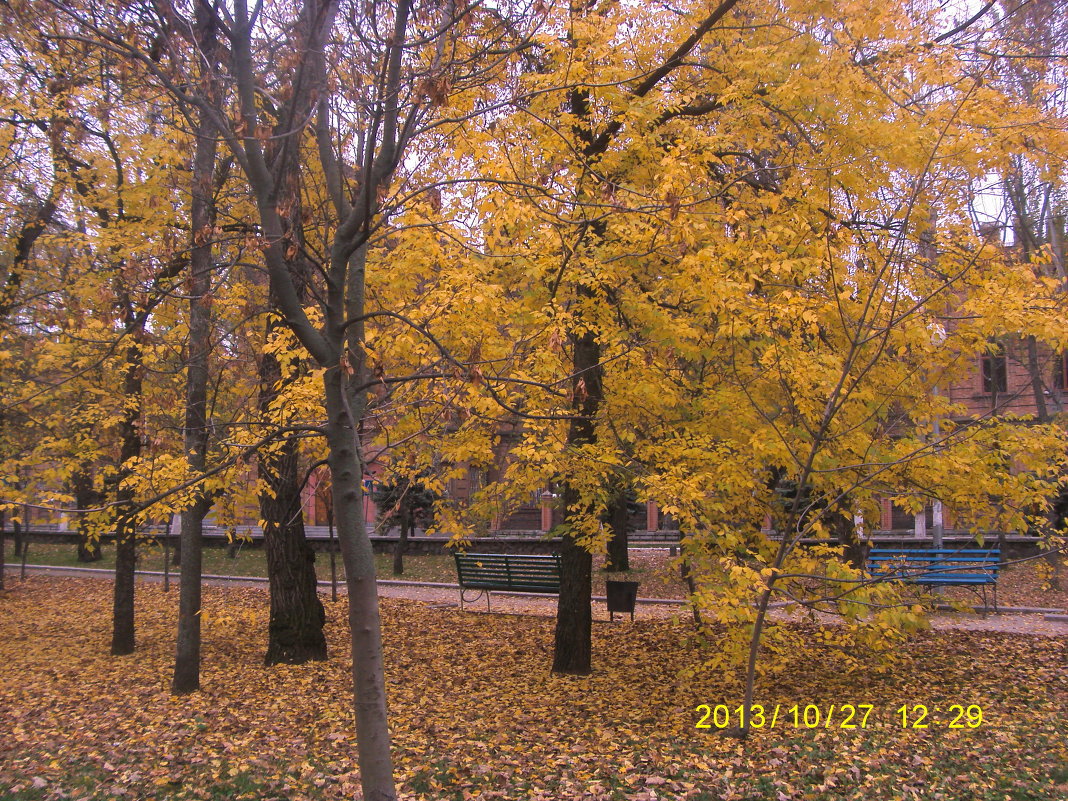 ... - Ирина Дашкова-Красникова