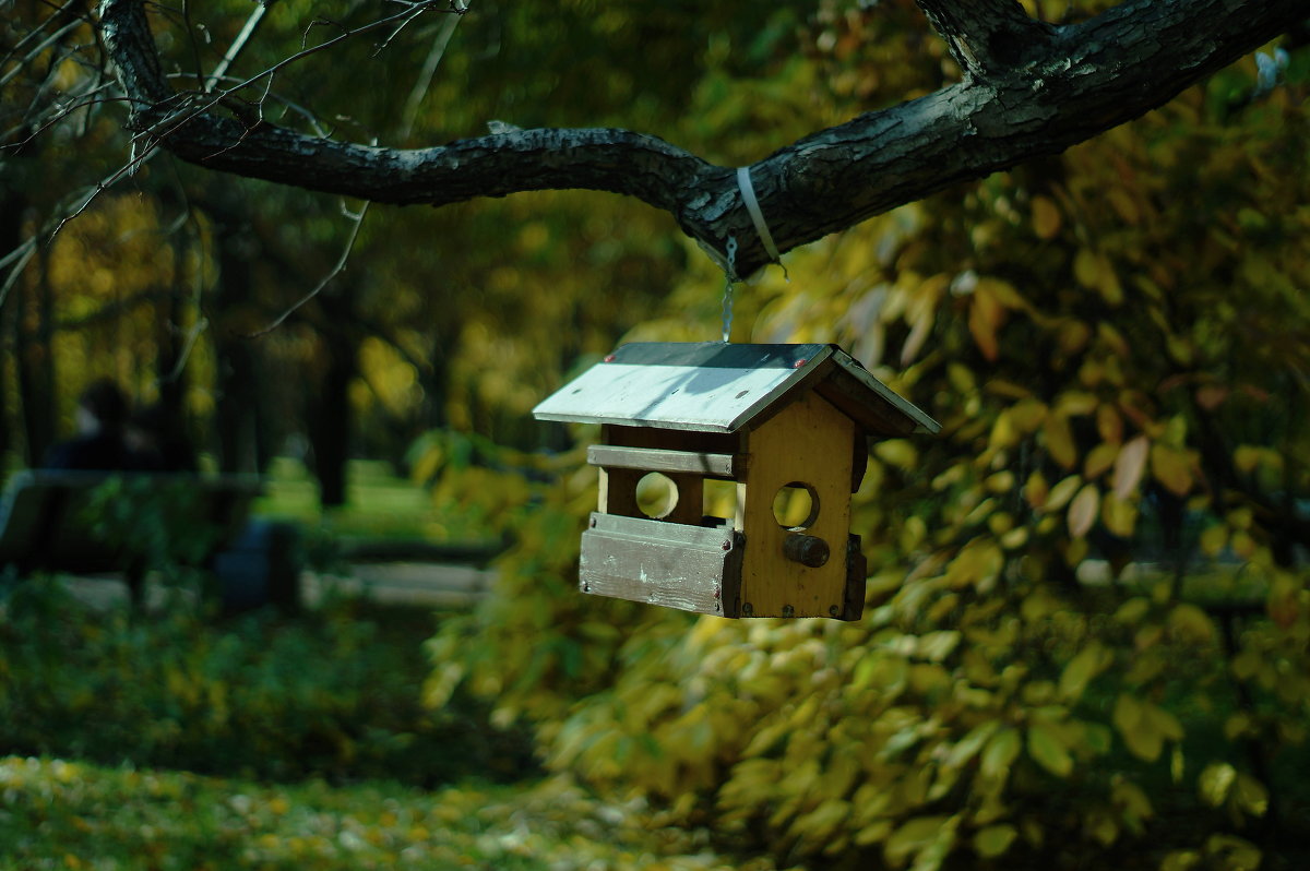 ... - Хельги Гончаров