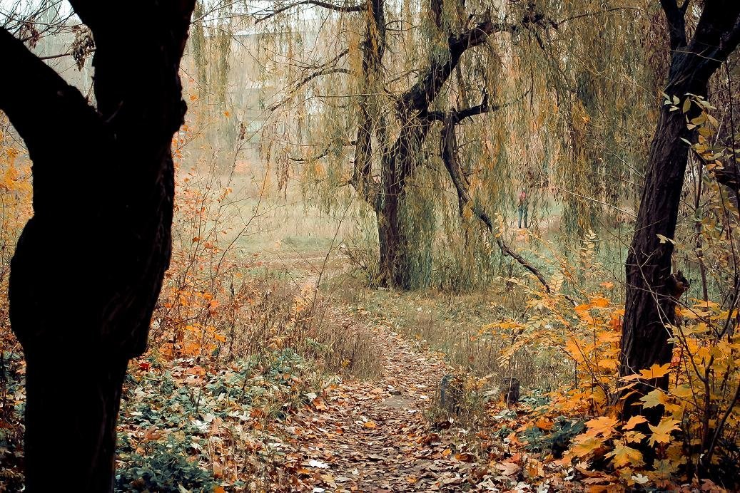 Осенняя тропинка к дому - Константин Земсков