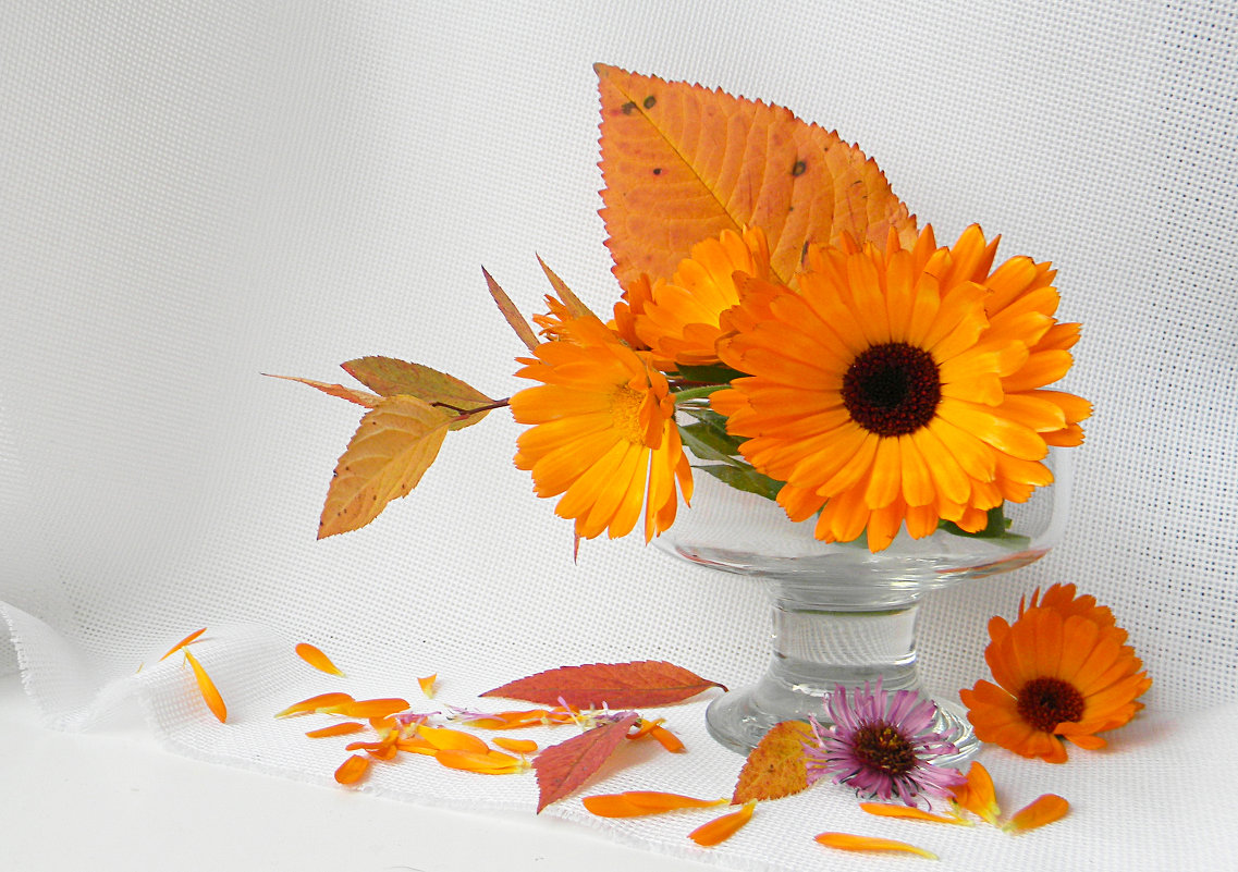 осенние - Ekaterina K