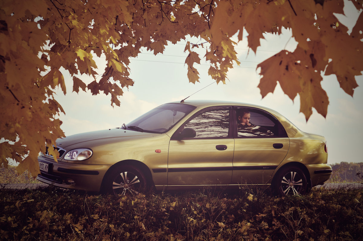 ... - Александр Костенко