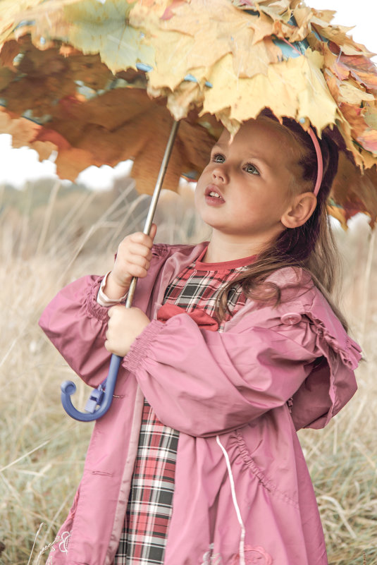 под осенними мечтами - Юля Жарковська