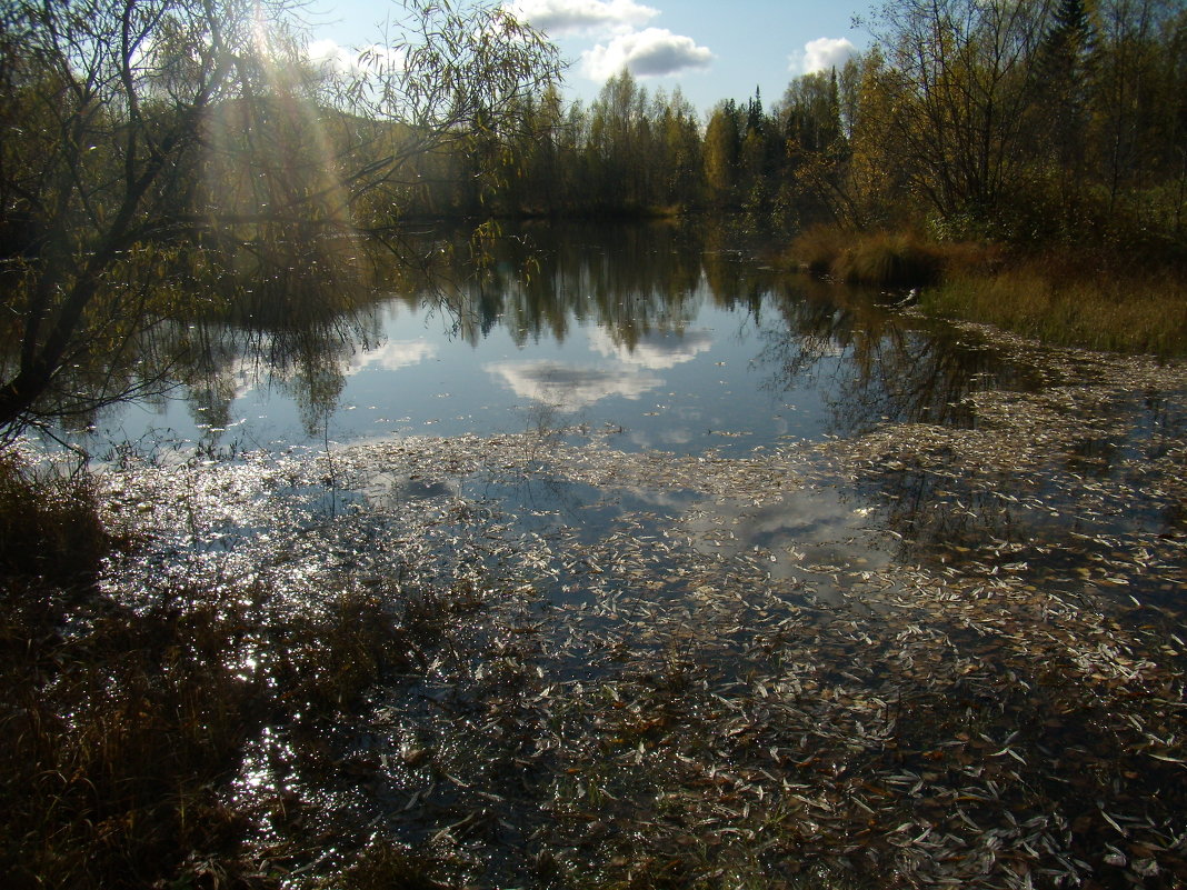 Уж небо осенью дышало... - Наталья Плотникова