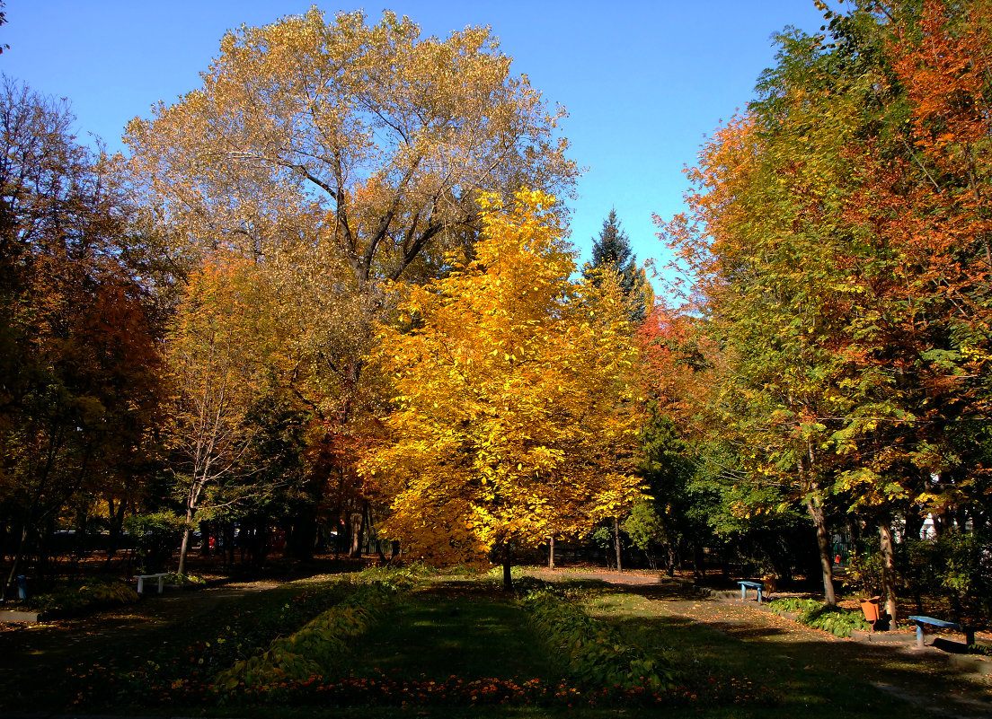 Осень в городе - Ирина Короткая