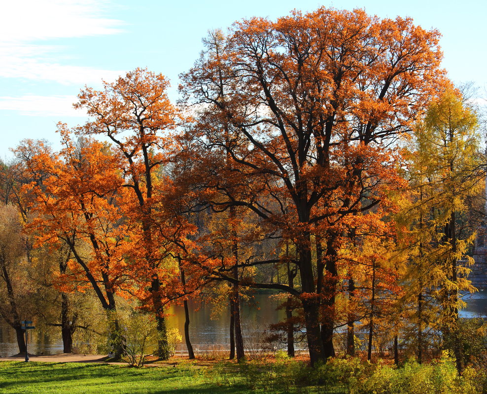 Екатерининский парк в Царском селе - Михаил Бояркин Екатерининский парк в Царском селе - Михаил Бояркин