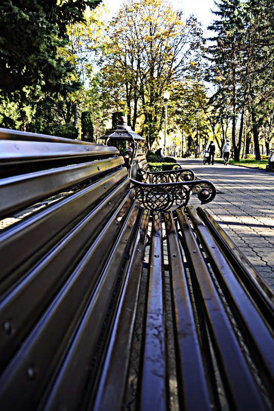 В сквере на скамье - Дарья 