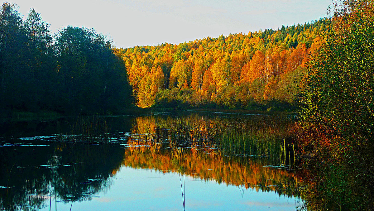 ... - Александр Преображенский