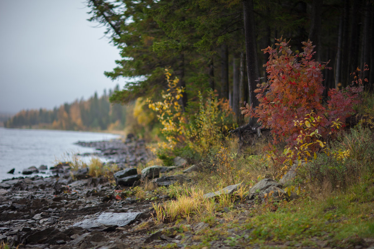 На берегу... - Владимир Кочкин